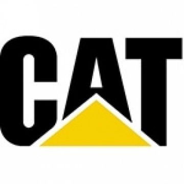 cat37